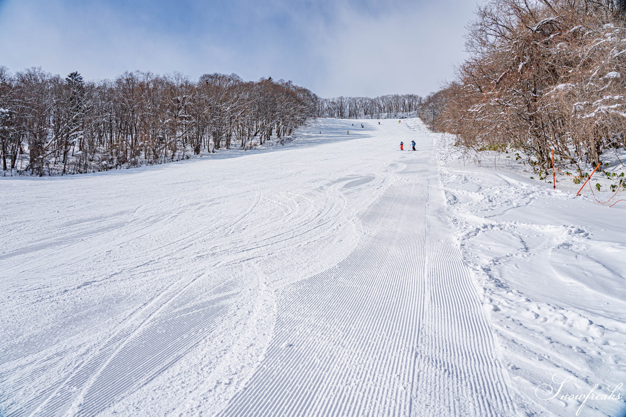 札幌藻岩山スキー場　積雪 105cm。スキーヤーだけが楽しめる！名物の急斜面『うさぎ平』＆『からまつ』両上級者コースもコンディション良好です(^^)/